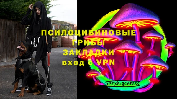 соль курить ск Богородицк